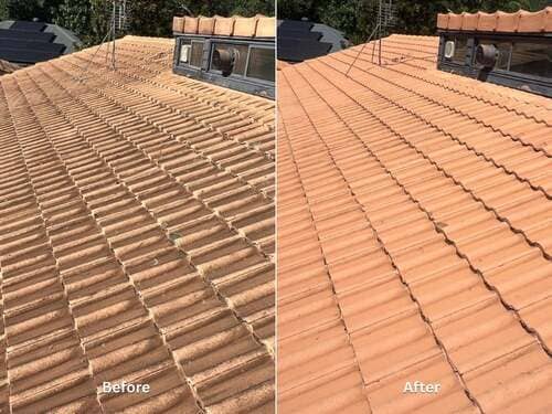 roof-soft-washing_1_optimised (1)
