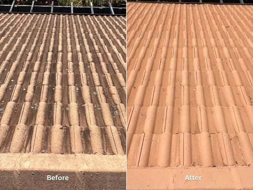 roof-soft-washing_1_optimised (2)