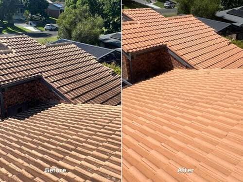roof-soft-washing_1_optimised (4)